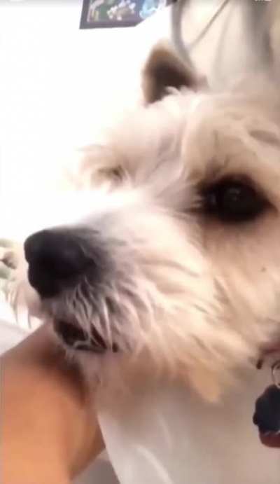 Instant regret