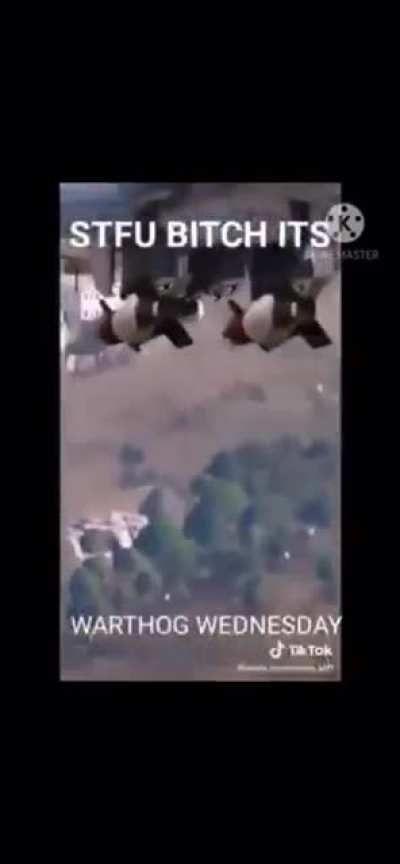 It’s Warthog Wednesday!