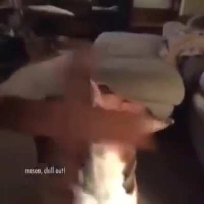 Spooky doggo