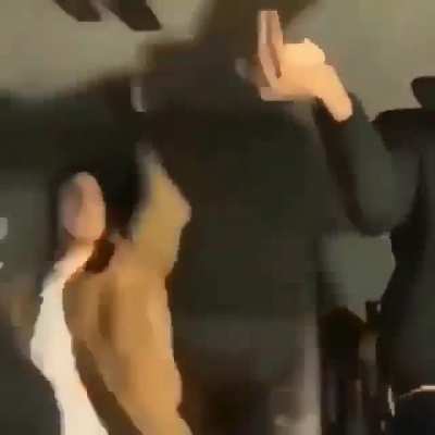 hamster