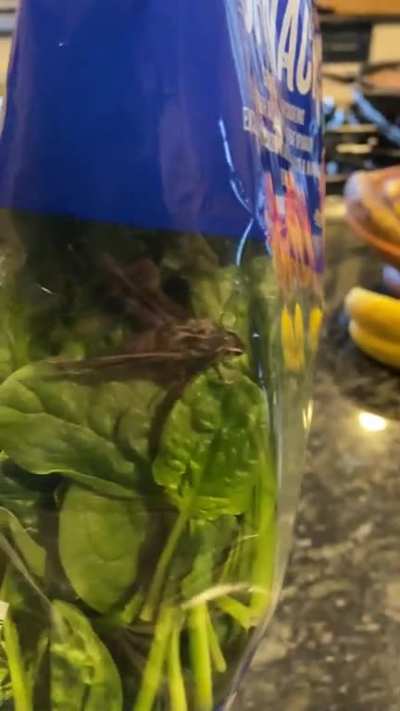 Was about to make a salad&hellip;