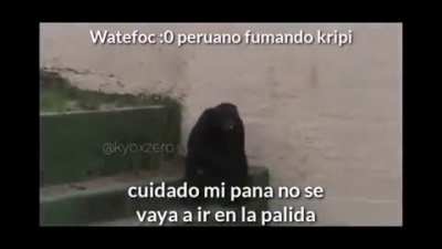 Mi pana :(