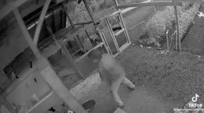 Man slaps bear while defending his dogs and girlfriend