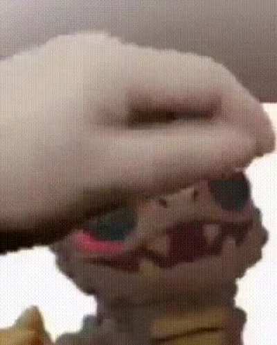 Pet the bop
