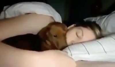 Comfy spot
