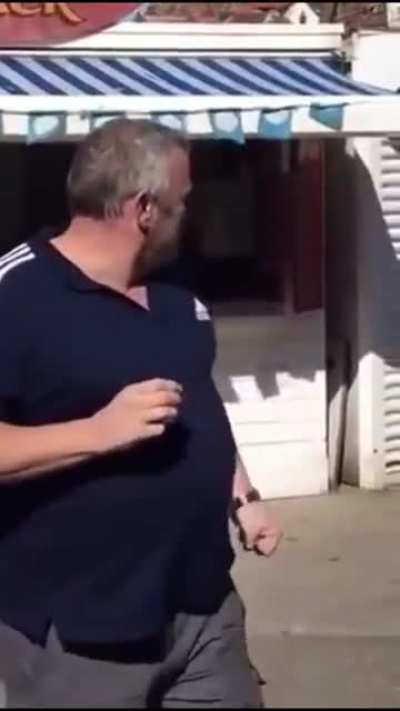 Seagull gets a punch to the face for trying to steal mans prawns