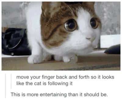 this kept me entertained for much longer than i&rsquo;d want to admit