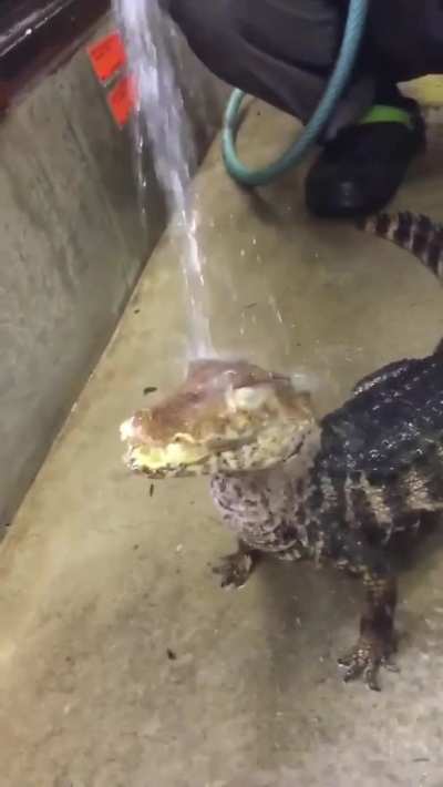 water cool