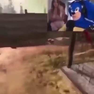 T&ocirc; jogando aqui sai daqui