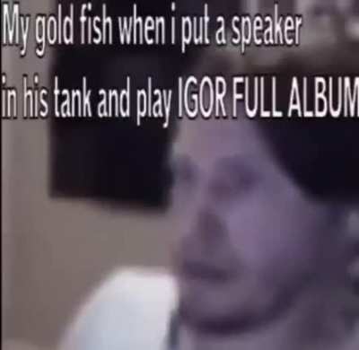 insert title