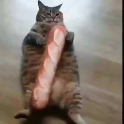 &amp;lt;3