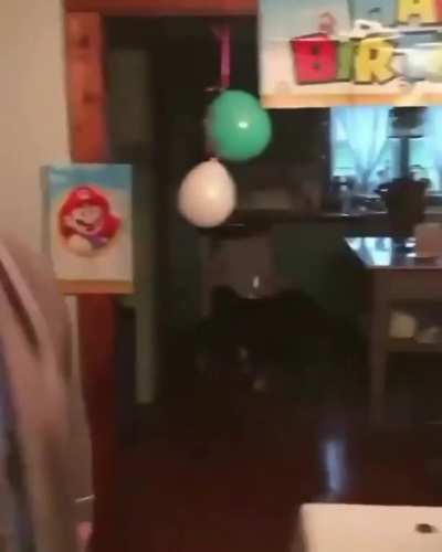 A lo s&uacute;per Mario 😎
