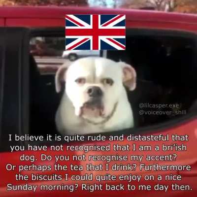innit?