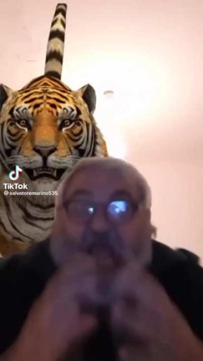 LOOK OUT, BEHIND YOU!!