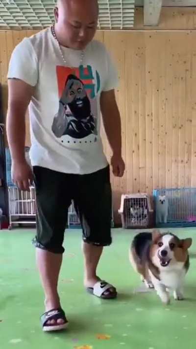 from savage to best friend