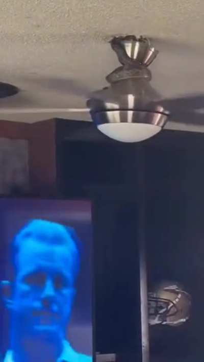 Ceiling snek
