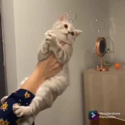 Catching bubbles