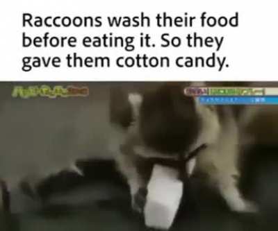 ​