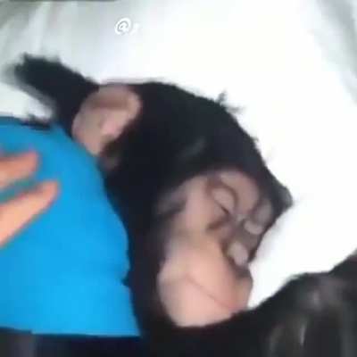 Fofinho '-'