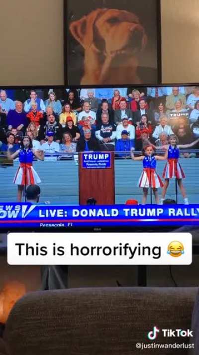This isn&rsquo;t even politics, it&rsquo;s genuine cringe