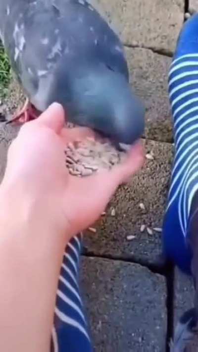 Who's biting now Bitch !!!