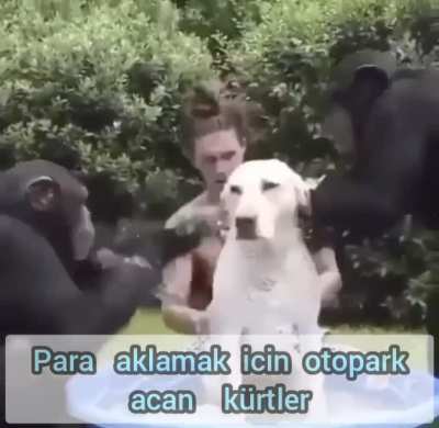 Her ilde şubemiz vardır...