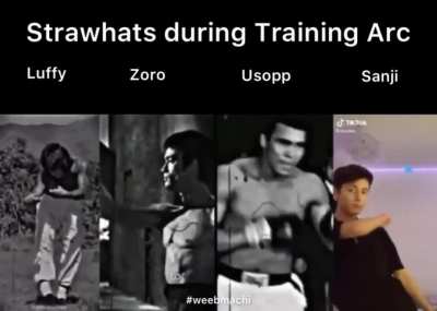 Training Arc :