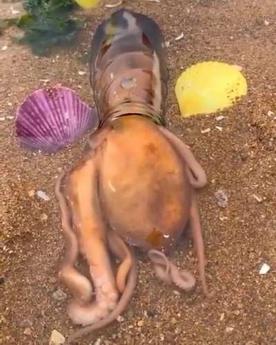 Aşkım ilkim sensin😲