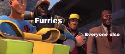 Furry_irl