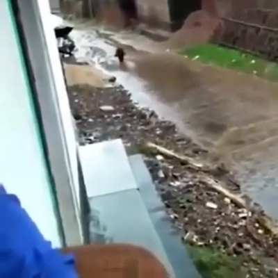He must be tired