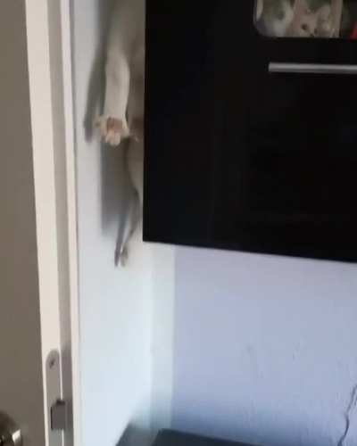 Slidin down the cabinets