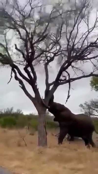Unbelievable force!