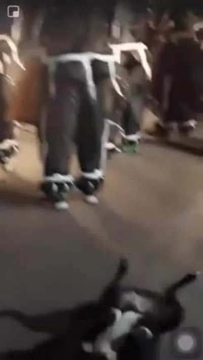 She got moves