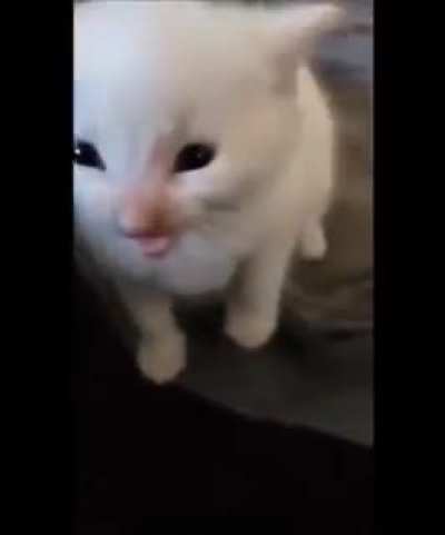 found it on my phone