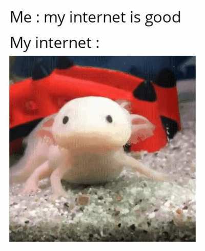Slo-