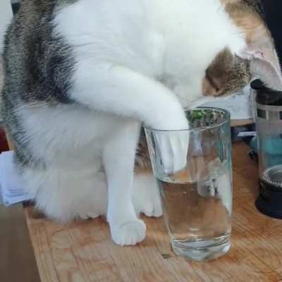 I guess I'm done with my water