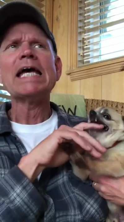Petting your dog can be relaxing