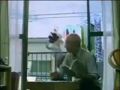 Мммм..... Япония... Бреееееед...