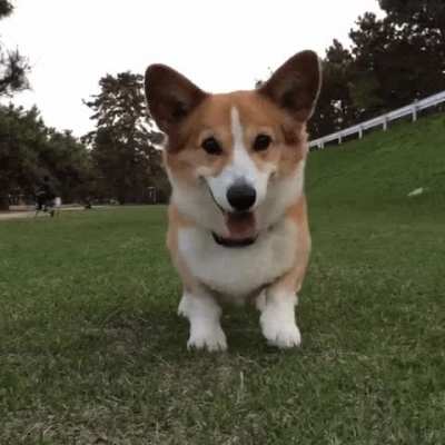 Excited