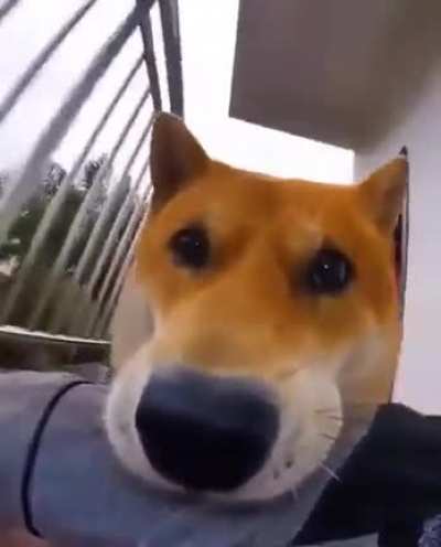 Aaaawwnn