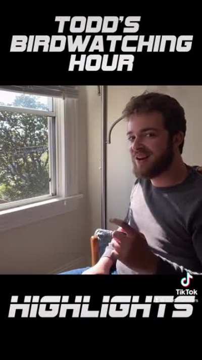 Todd&rsquo;s Birdwatching Hour