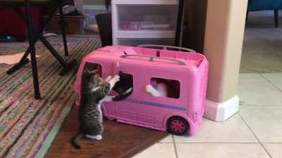 A gang of illegally smol criminals commits grand theft auto