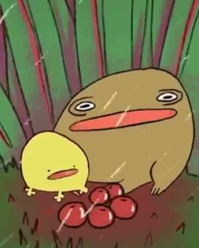 frog rule