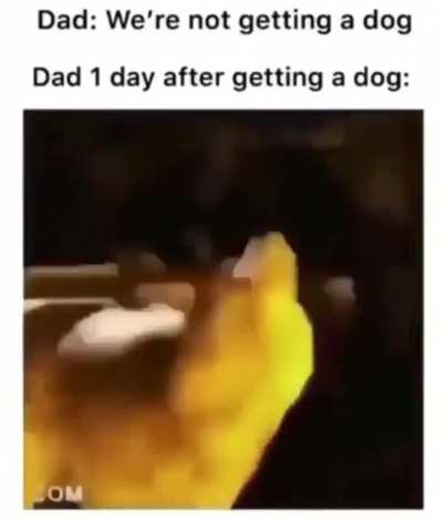 The strongest bond