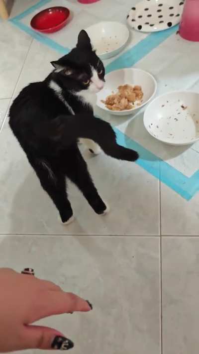 Selina is hungry and won't listen to reason.