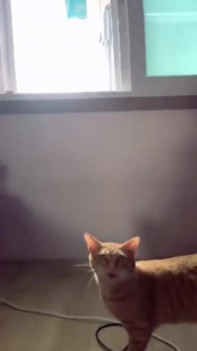 ‎