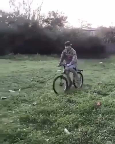 need for speed