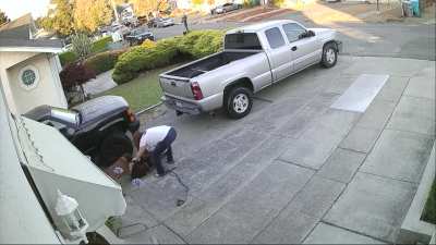 Two Pitbulls attack a cat