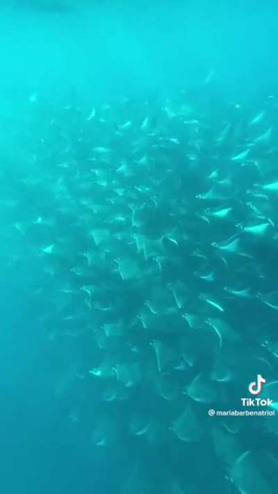 Yeah it&rsquo;s beautiful, but also so immense it&rsquo;s horrifying. (The video says: &ldquo;Let&rsquo;s see what the sea will gift us with today.&rdquo;)