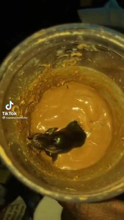 Peanut butter mouse